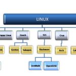 Principais distros do Linux