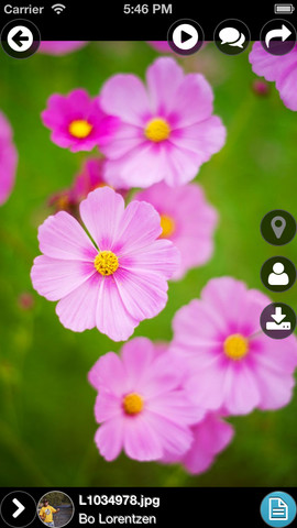 Приложение Picasa за iPhone