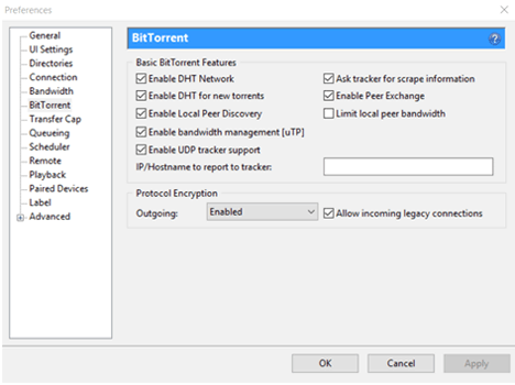 Enable Bit Torrent Protocol Encryption