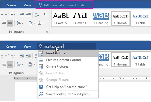 Tell Me Excel 2016 Feature