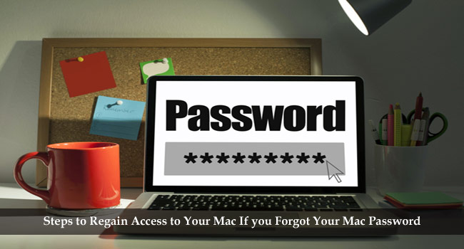 Forgot Mac Password