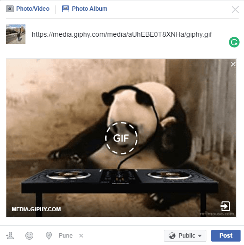 Condividi gif su Facebook