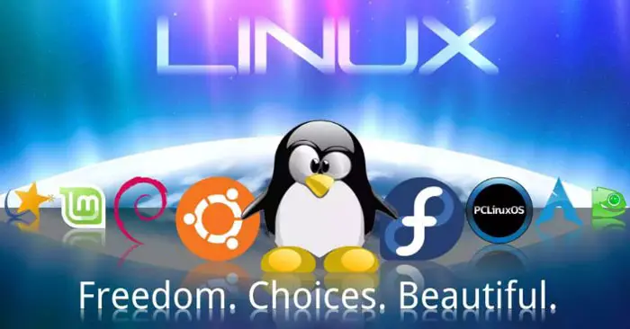 Linux的