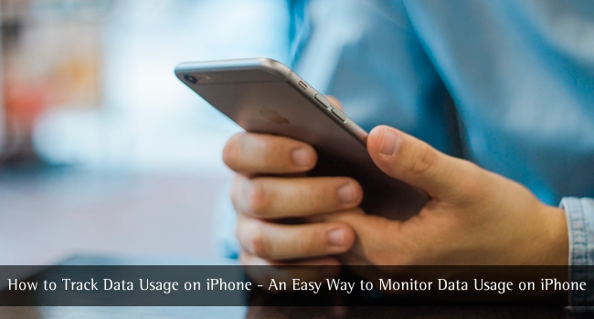 Track Data Usage on iPhone
