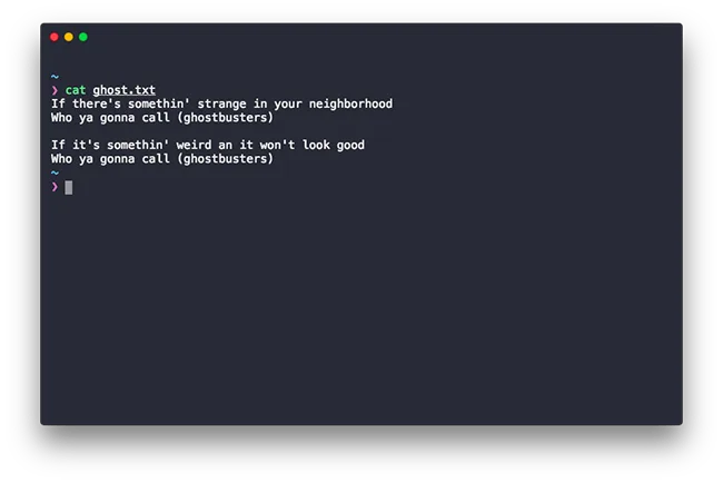 cat Linux Command