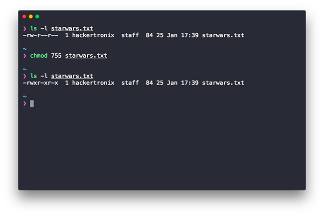 chmod comando ottale Linux