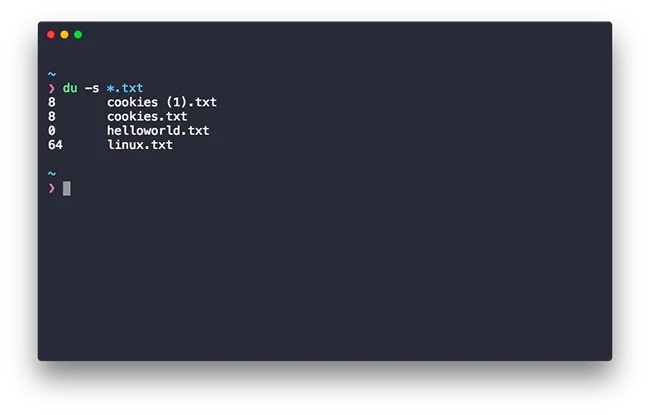 du Linux Command With Flags
