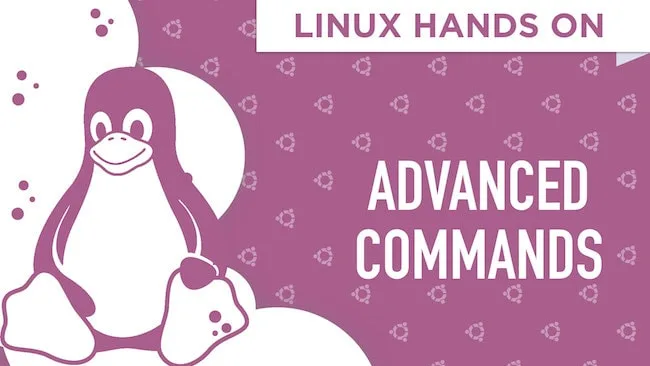 Linux Hands On: The Advanced Terminal Commands Advanced Linux Commands