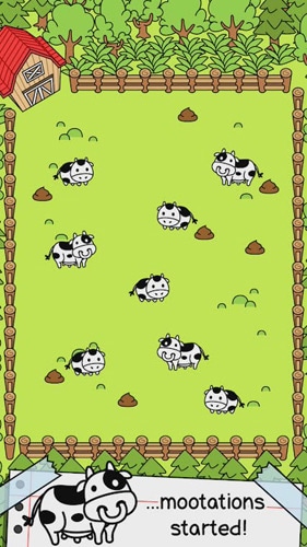 Evolución de la vaca