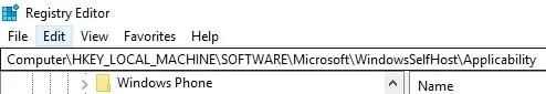 Registry Editor Path