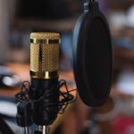 The Best Budget Microphones