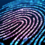 Biometria per l'identificazione