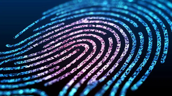 Biometrics for Identification