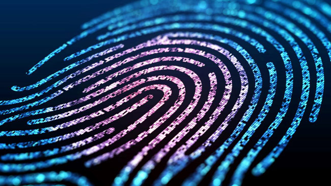 Biometria para identificação