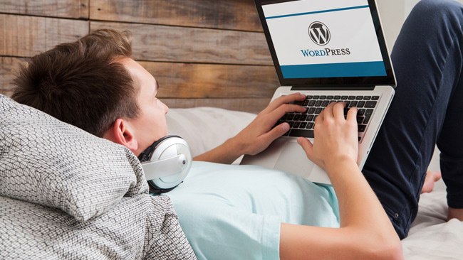 Velocidade do WordPress