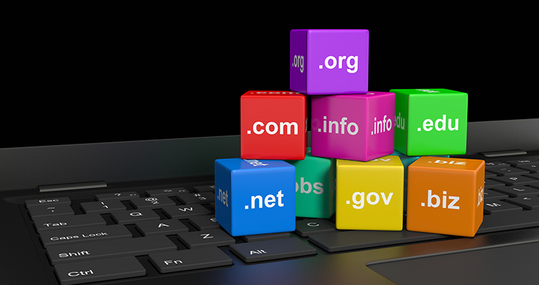 Internet Domain Names