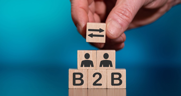 B2B in e-commerce B2B in e-commerce
