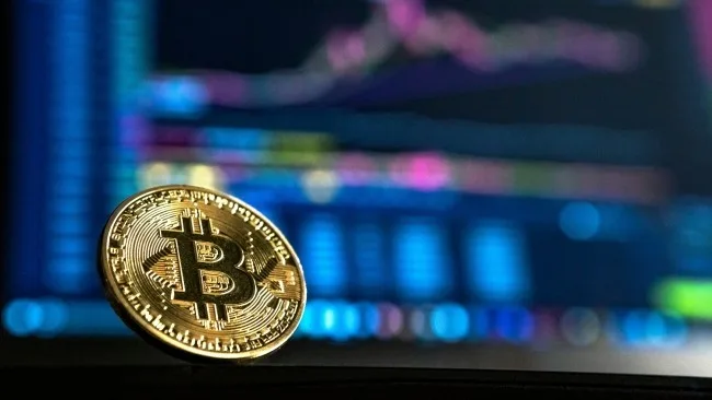 5 Reasons Why You Should Add Bitcoin Payment to Your Website Bitcoin Payment