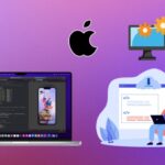Macos Developer Statistics