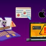 Macos Malware Statistics